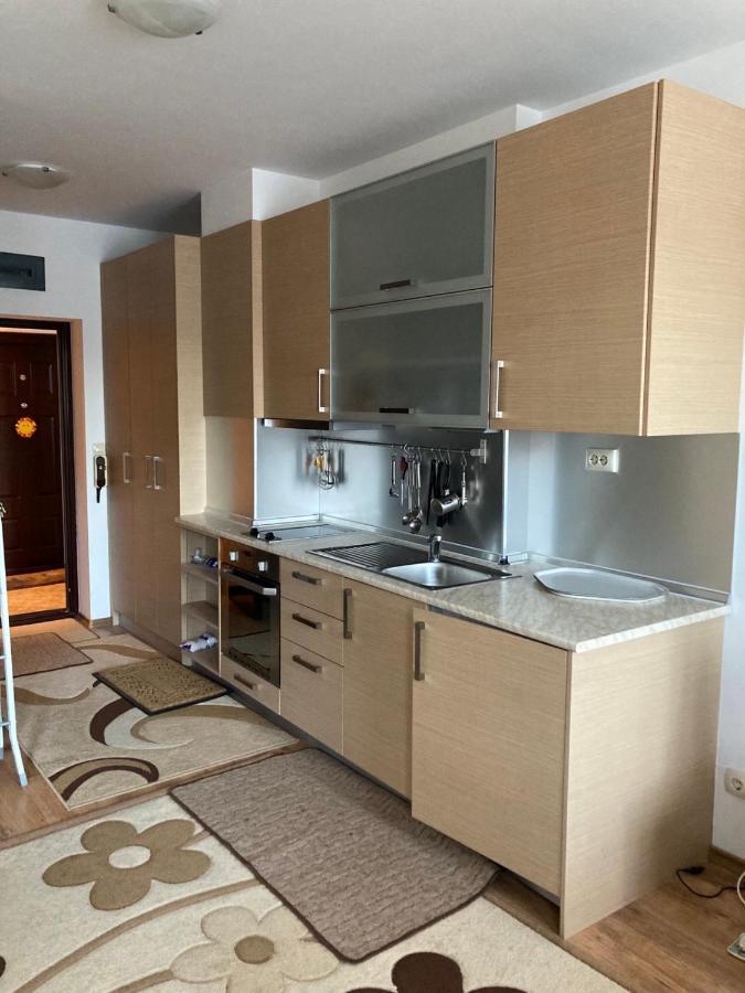 Studio Detelina Residence Bansko Extérieur photo