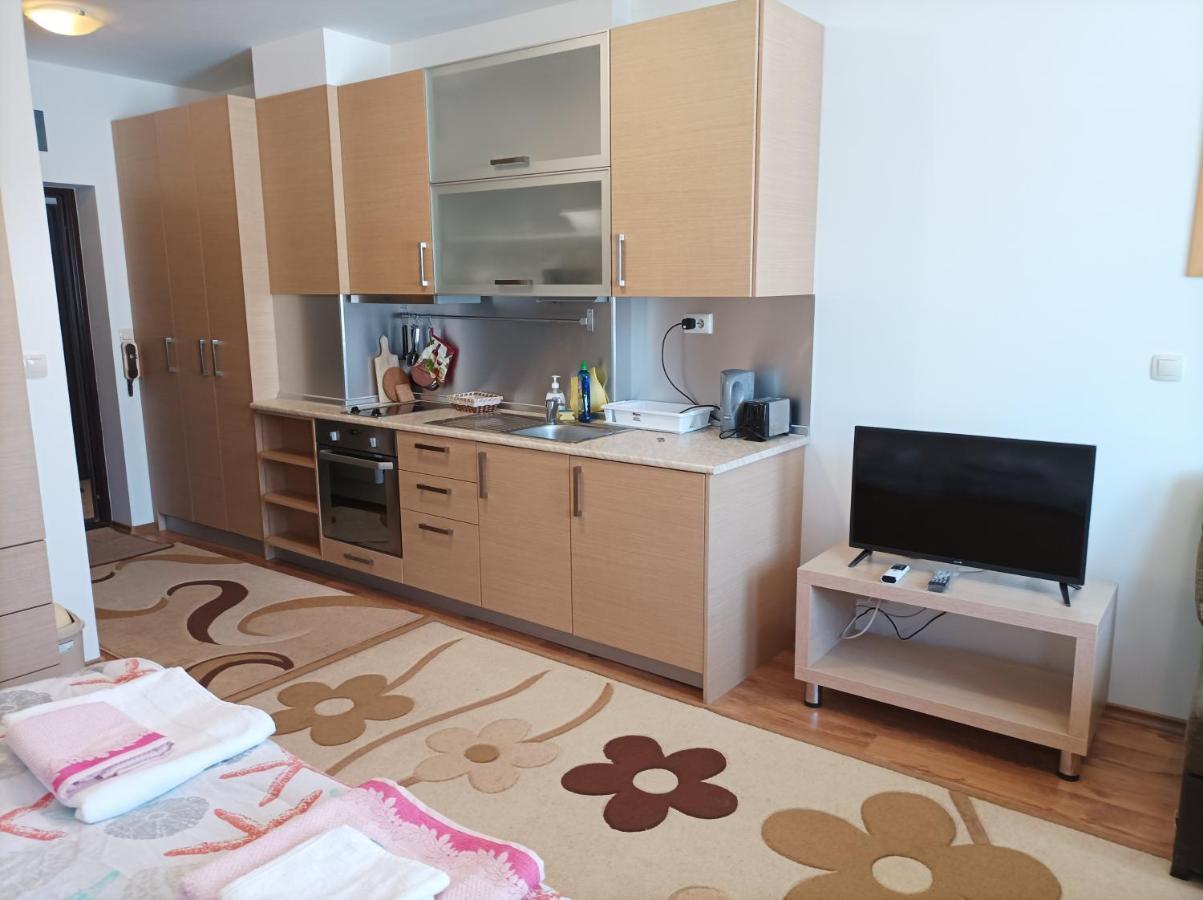 Studio Detelina Residence Bansko Extérieur photo
