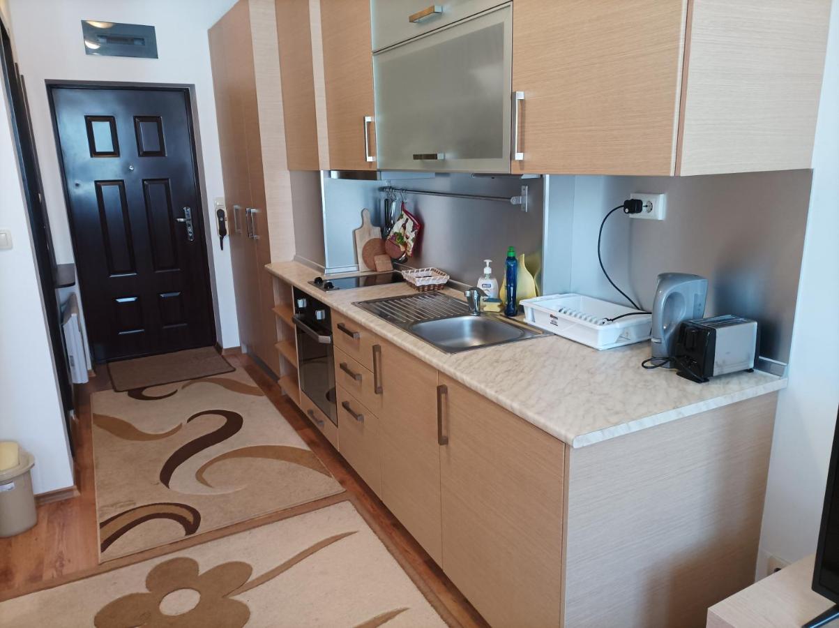 Studio Detelina Residence Bansko Extérieur photo