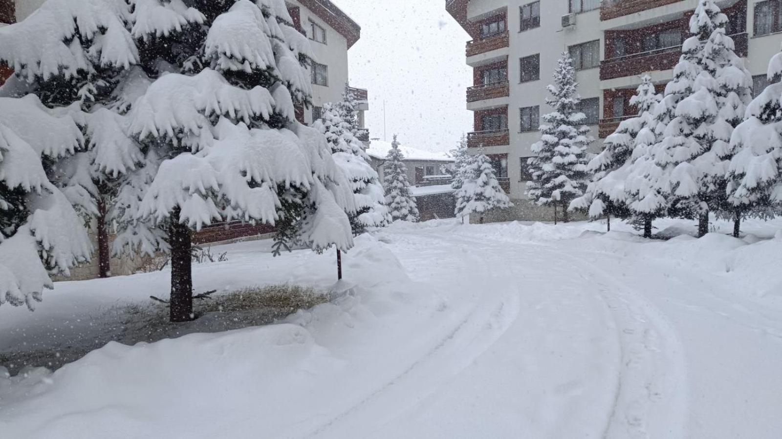 Studio Detelina Residence Bansko Extérieur photo
