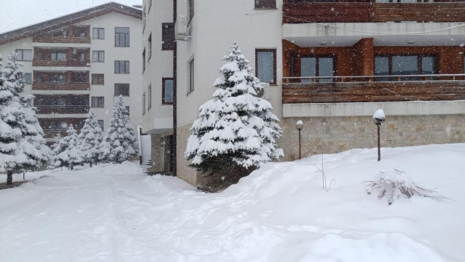 Studio Detelina Residence Bansko Extérieur photo