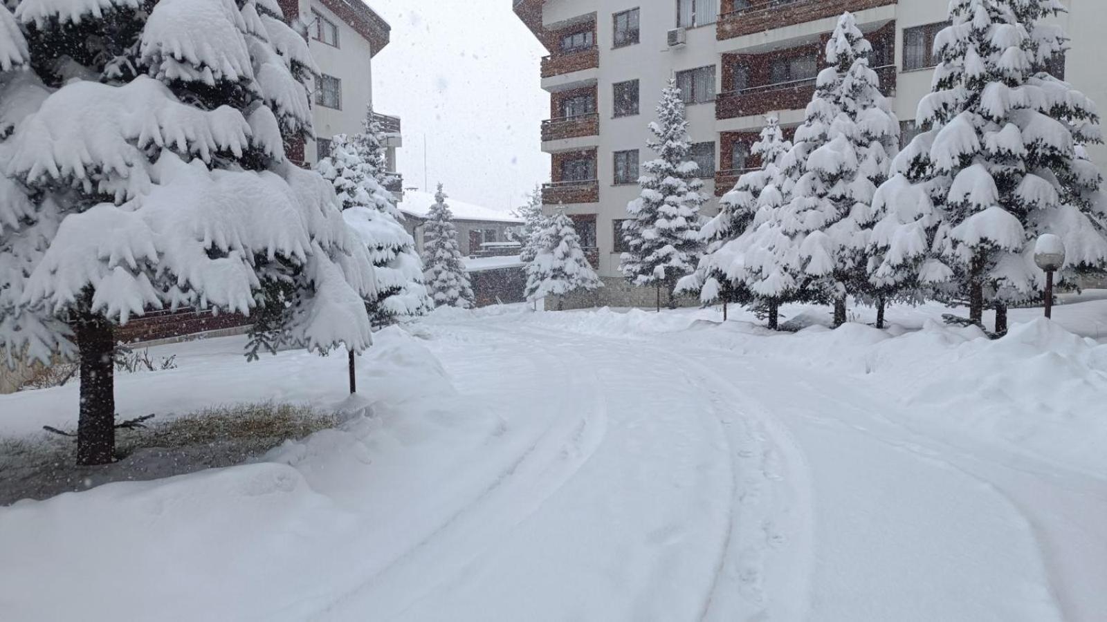 Studio Detelina Residence Bansko Extérieur photo