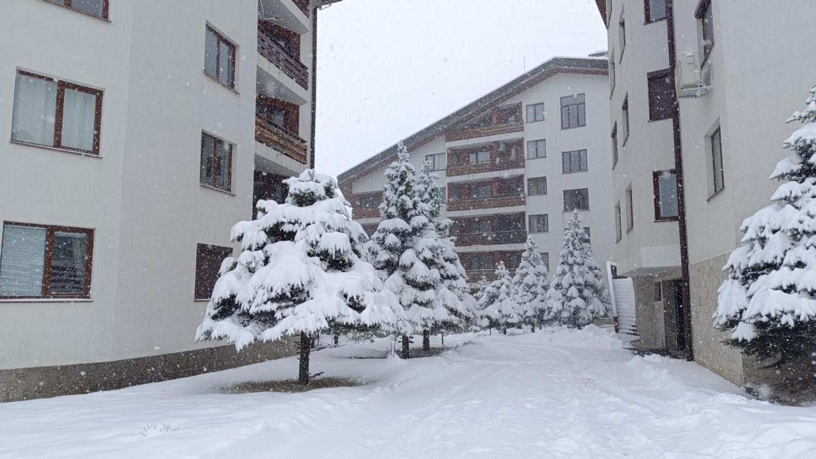 Studio Detelina Residence Bansko Extérieur photo