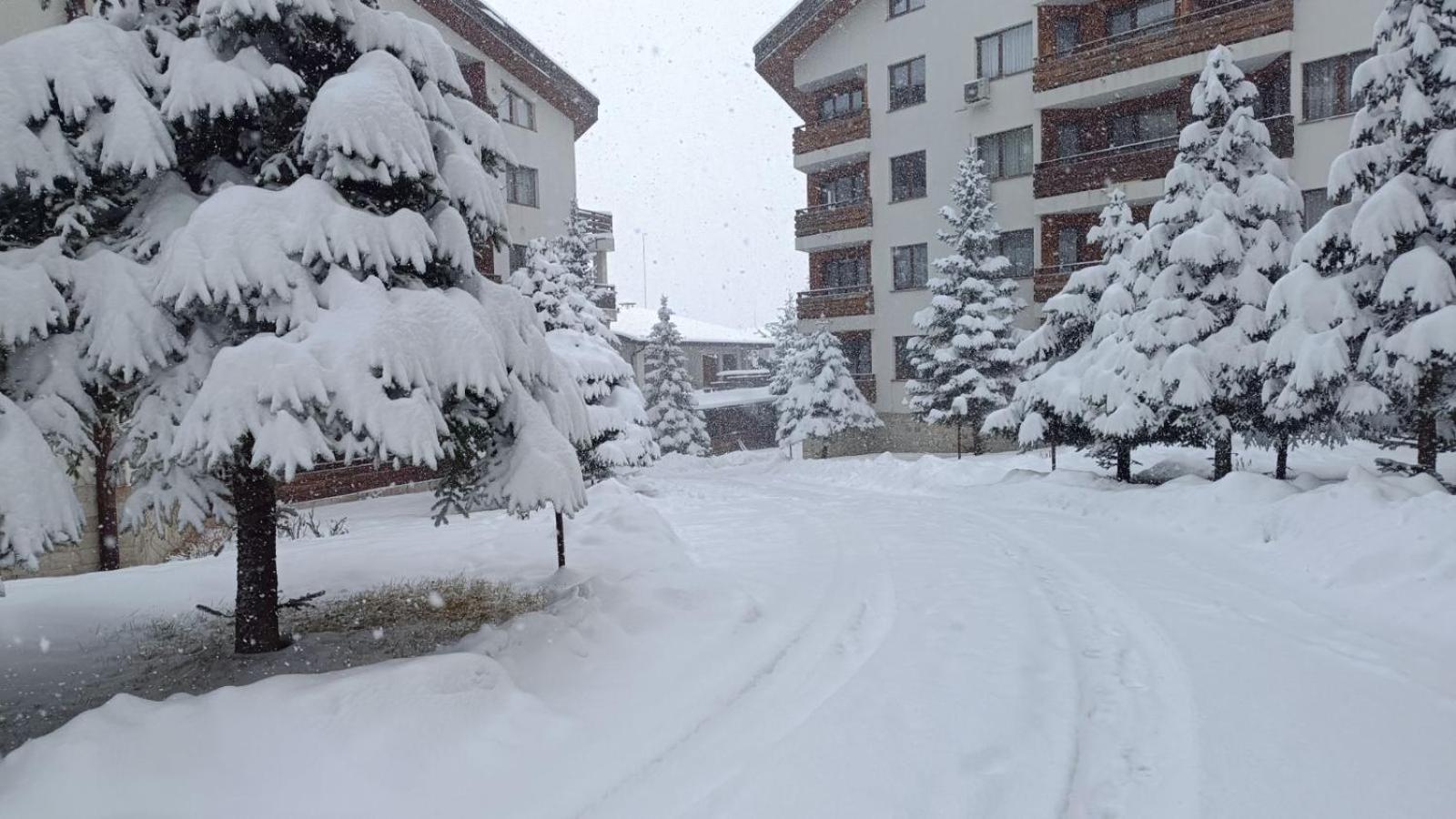 Studio Detelina Residence Bansko Extérieur photo