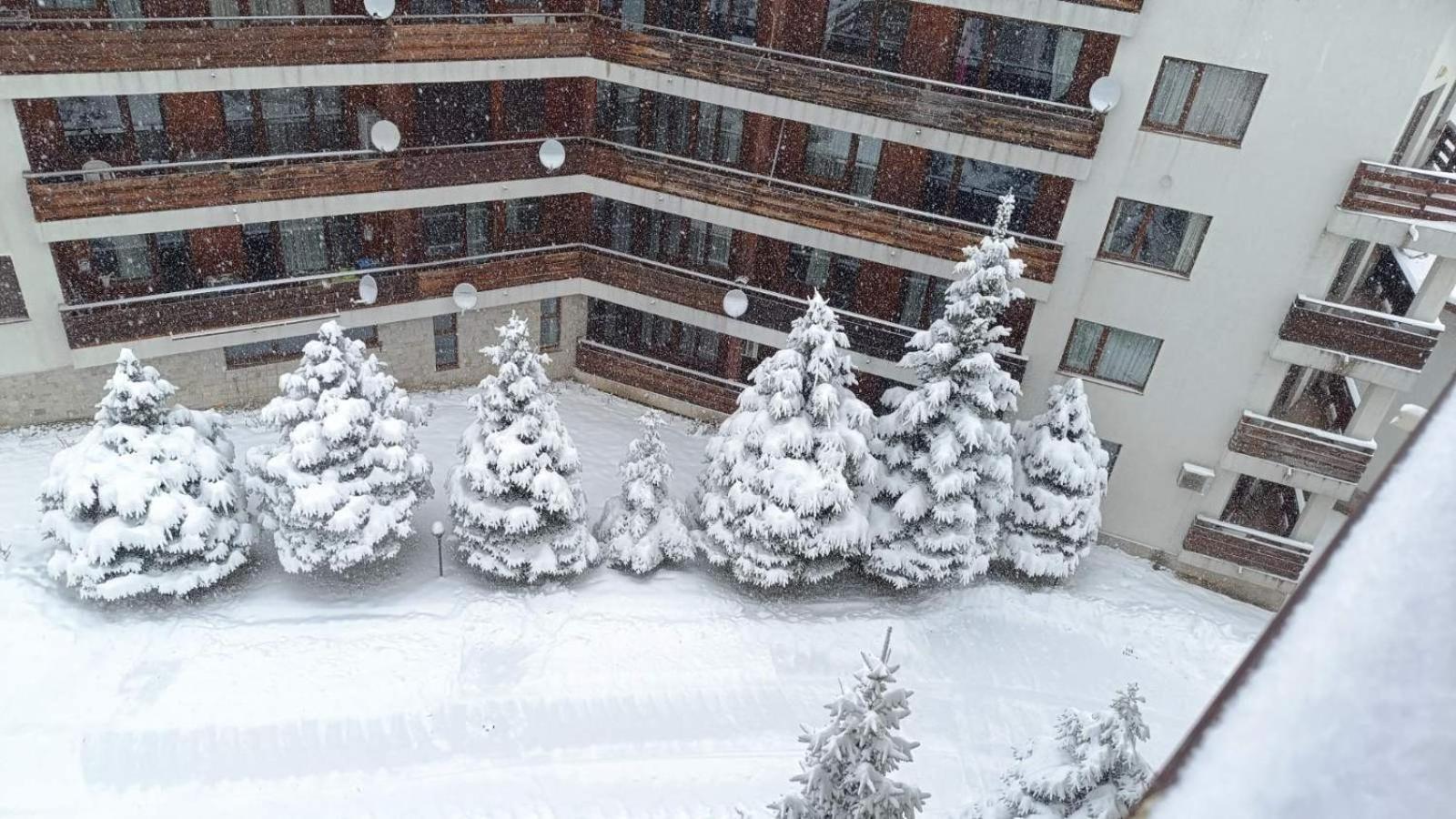 Studio Detelina Residence Bansko Extérieur photo