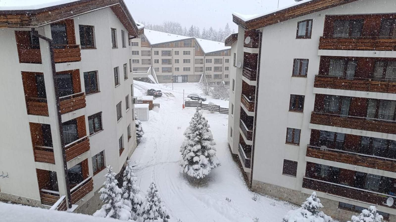 Studio Detelina Residence Bansko Extérieur photo